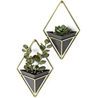 Umbra Trigg - Jarrón para colgar en la pared- diseño geométrico- Negro-Latón- small
